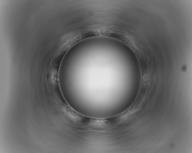 X0000091990671200709061419