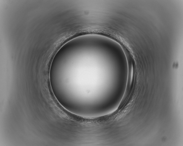 X0000091990673200709061419