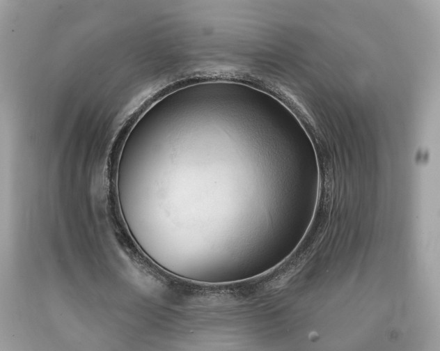 X0000091990674200709061419