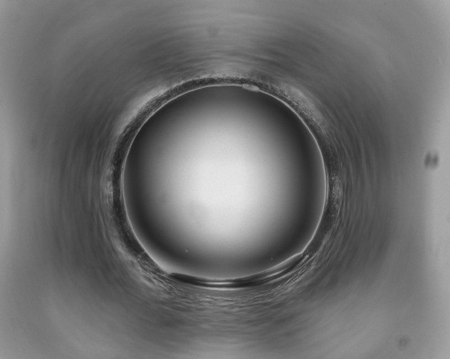 X0000091990676200709061419