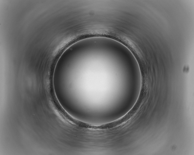X0000091990677200709061419
