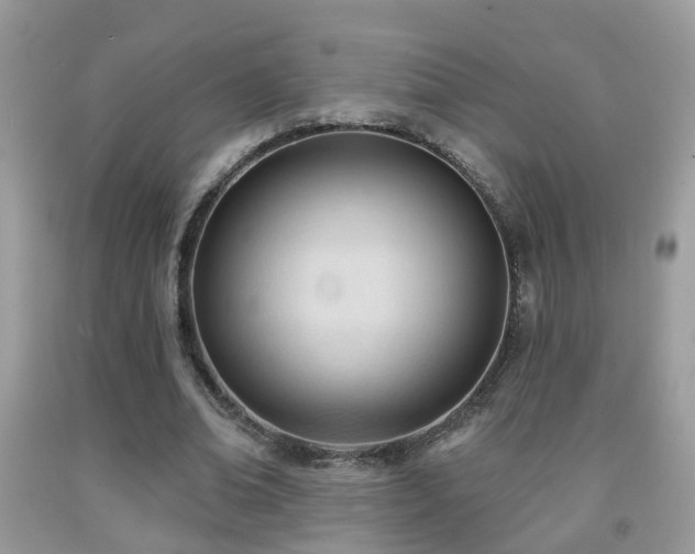 X0000091990678200709061419