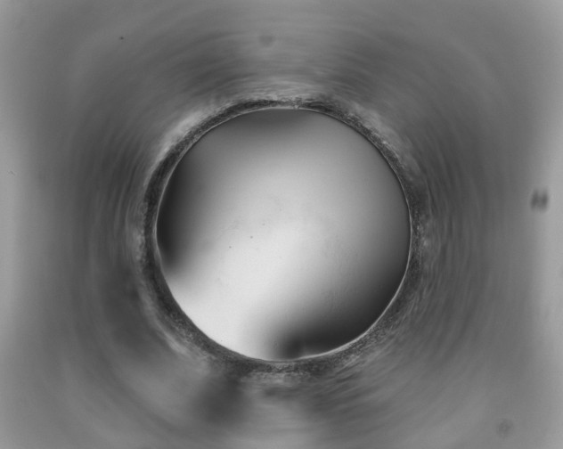 X0000091990679200709061419