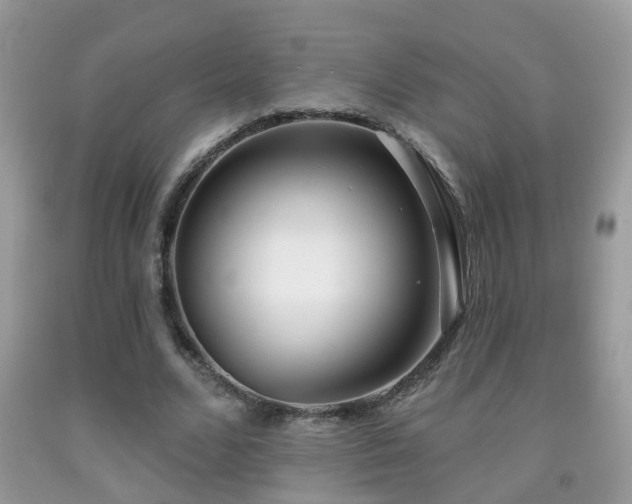 X0000091990680200709061419
