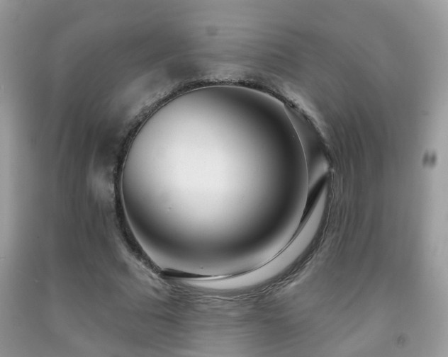 X0000091990681200709061419