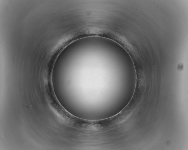 X0000091990683200709061419