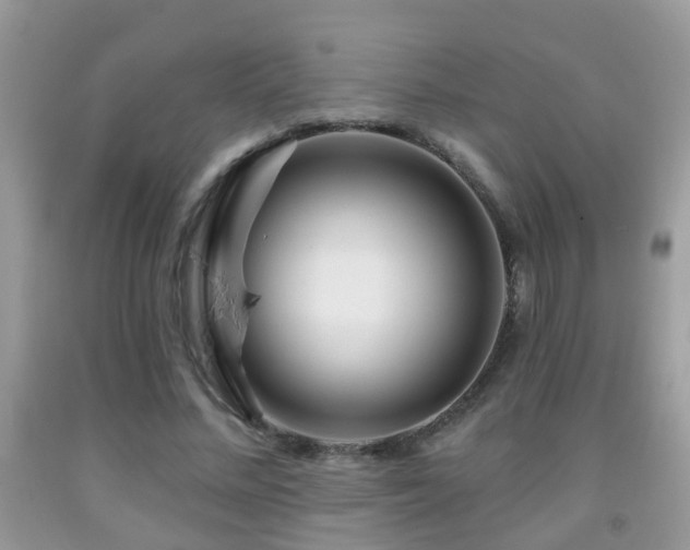 X0000091990684200709061419