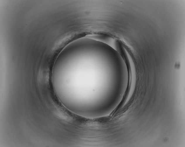 X0000091990685200709061419