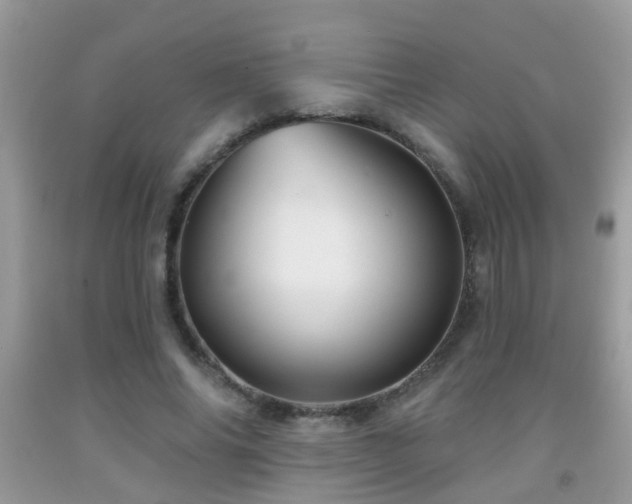 X0000091990686200709061419