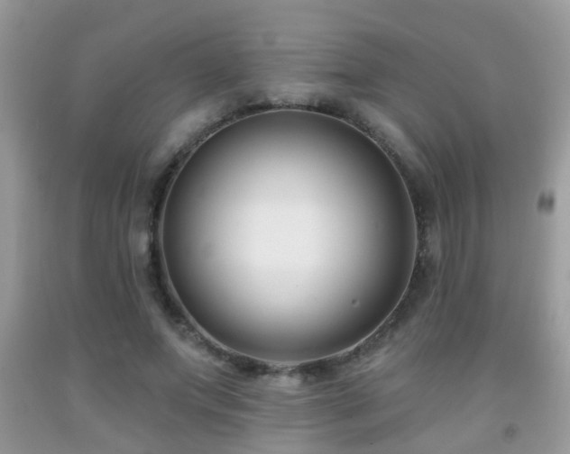 X0000091990687200709061419