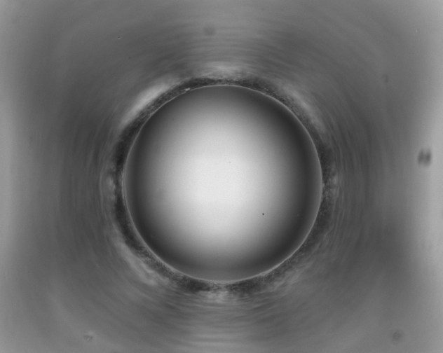 X0000091990688200709061419