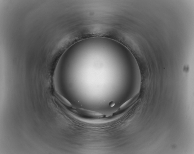 X0000091990689200709061419