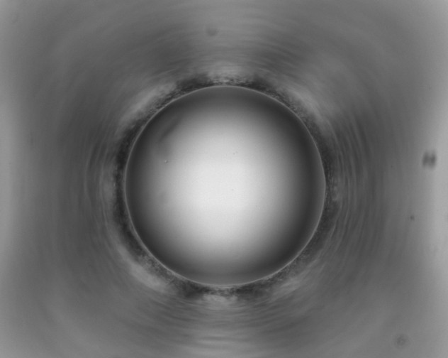 X0000091990690200709061419