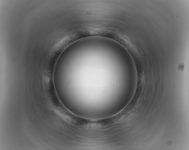 X0000091990691200709061419