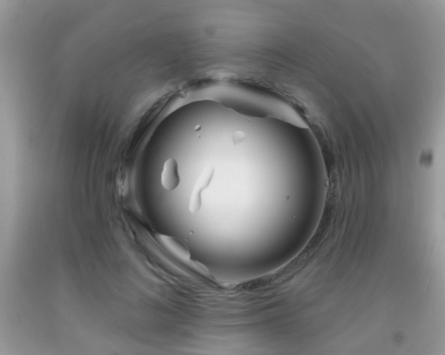 X0000091990692200709061419