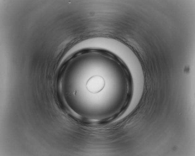 X0000091990693200709061419