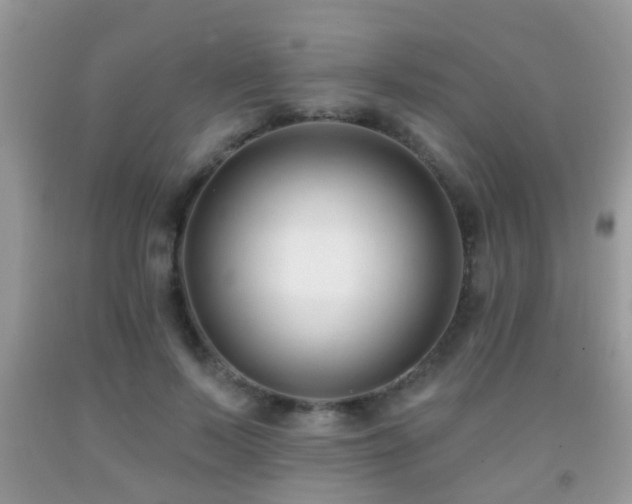 X0000091990695200709061419