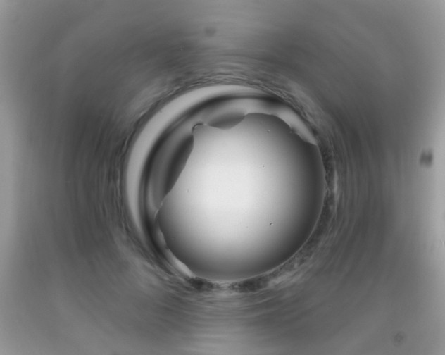 X0000091990696200709061419