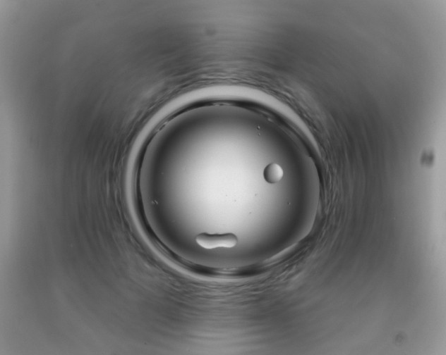 X0000091990697200709061419