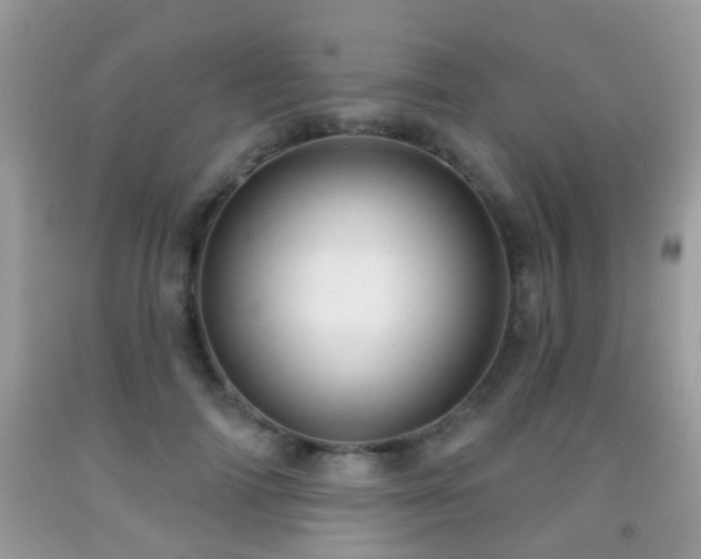 X0000091990698200709061419