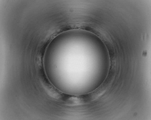 X0000091990699200709061418