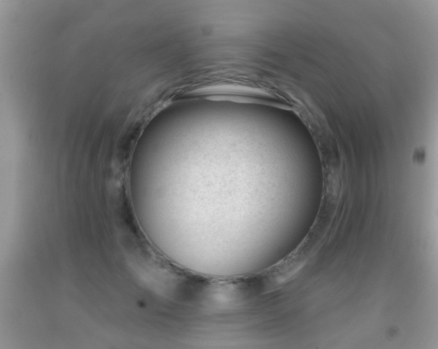 X0000091990701200709061418