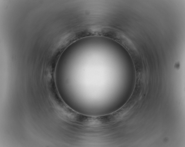 X0000091990702200709061418