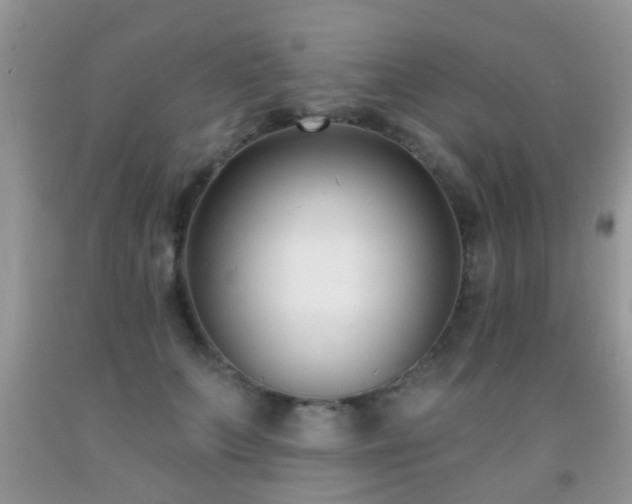 X0000091990703200709061418