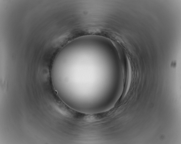 X0000091990704200709061418