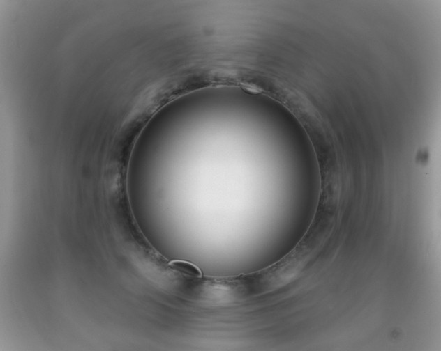 X0000091990706200709061418