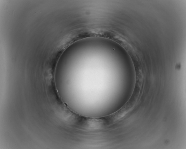 X0000091990707200709061418