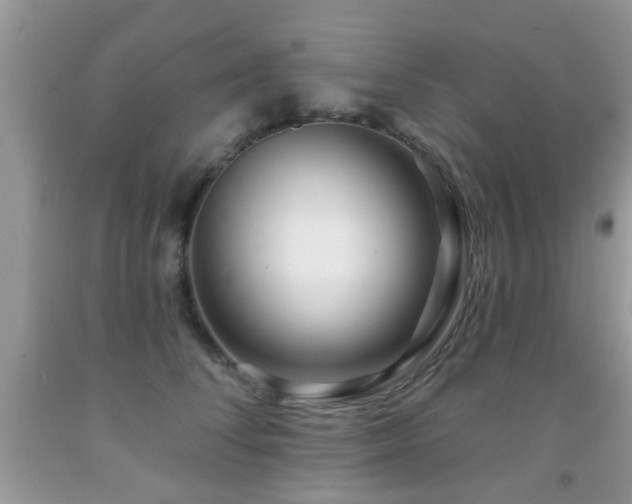 X0000091990708200709061418