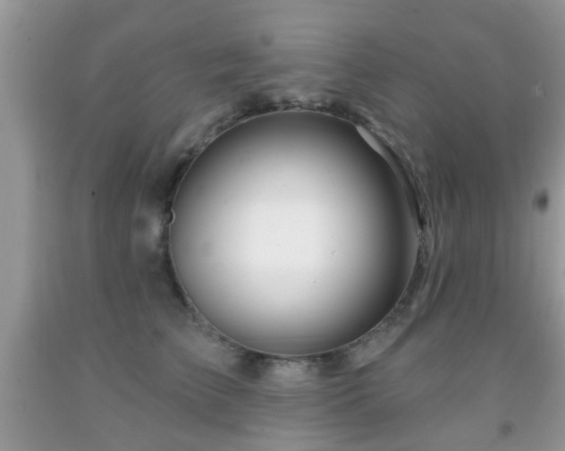 X0000091990709200709061418