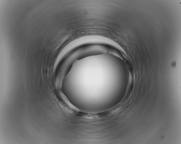 X0000091990712200709061418