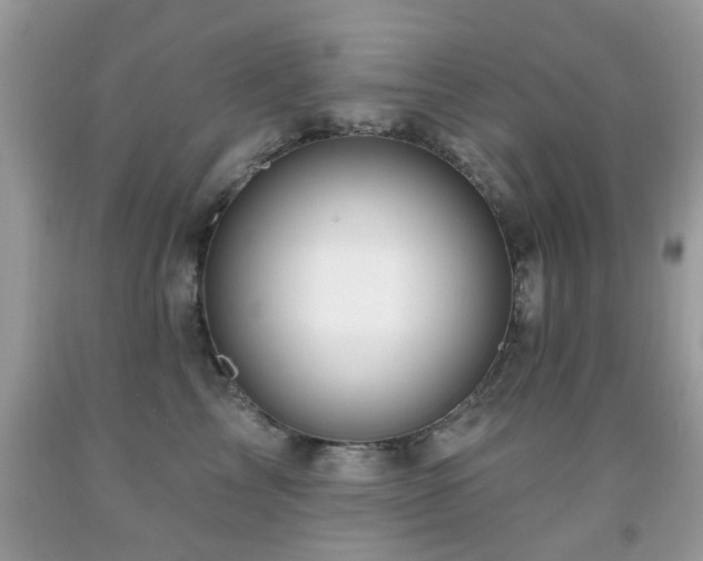 X0000091990713200709061418