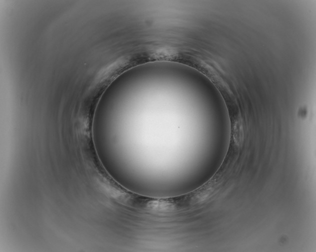 X0000091990714200709061418