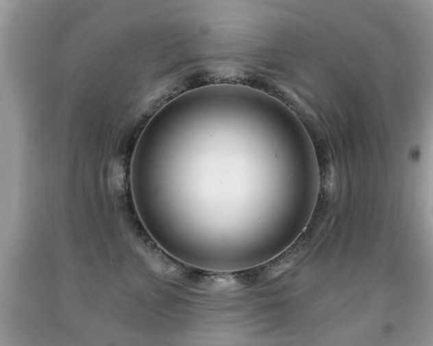 X0000091990715200709061418