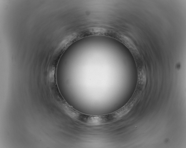 X0000091990717200709061418