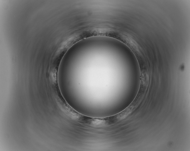 X0000091990718200709061418