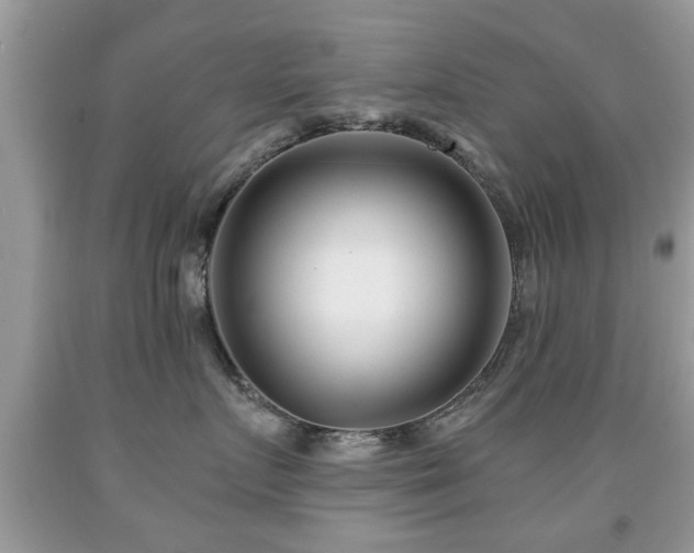 X0000091990719200709061418