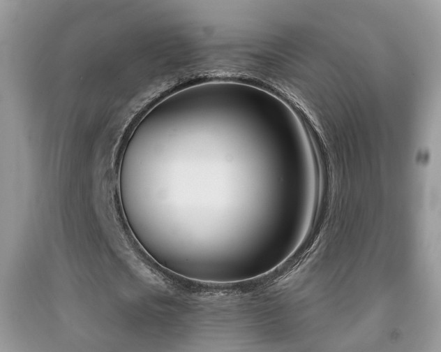 X0000091990721200709061418