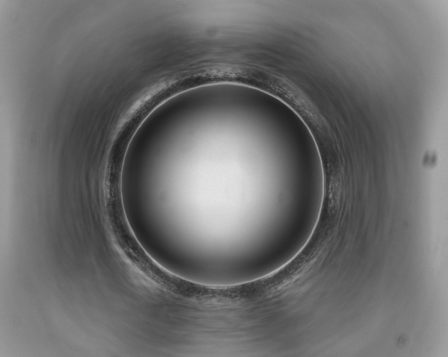 X0000091990722200709061418