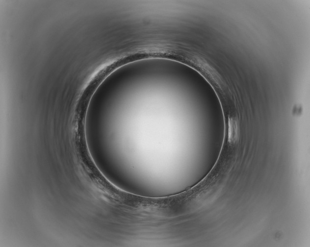 X0000091990723200709061418