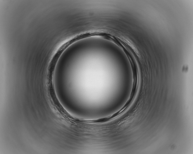 X0000091990724200709061418
