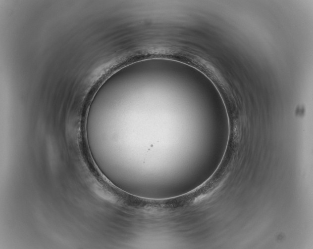 X0000091990725200709061418