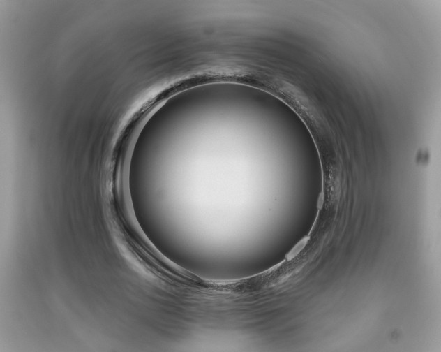 X0000091990726200709061418