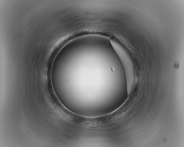 X0000091990727200709061418