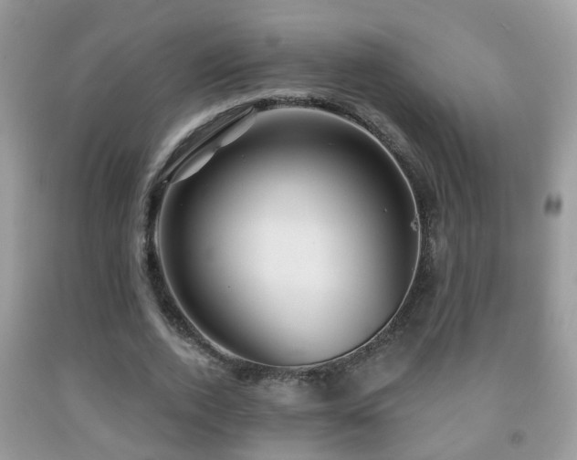 X0000091990728200709061418