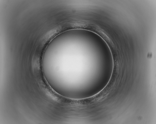 X0000091990729200709061418