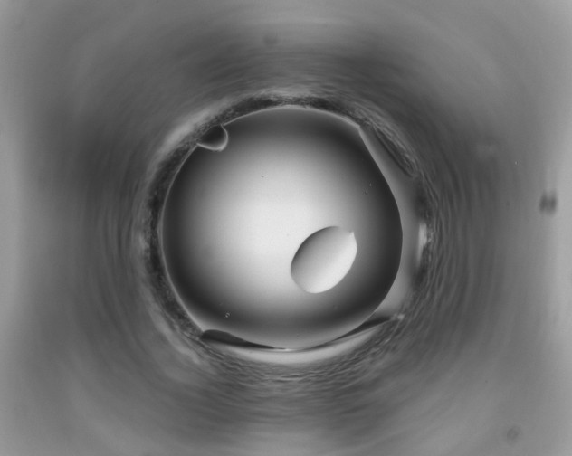 X0000091990732200709061418